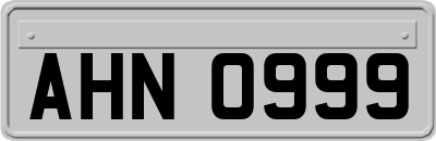 AHN0999