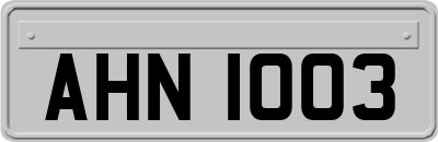 AHN1003
