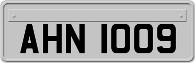 AHN1009