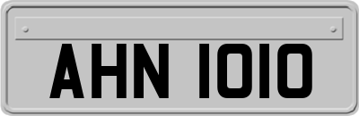 AHN1010