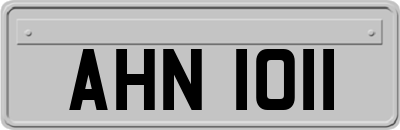 AHN1011