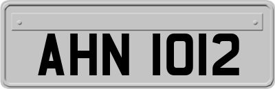 AHN1012