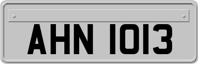 AHN1013