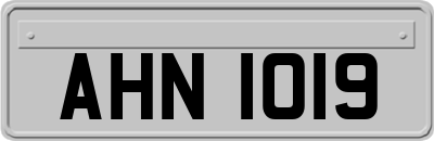 AHN1019