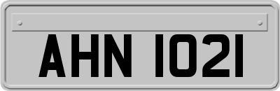 AHN1021