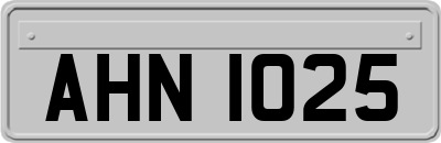 AHN1025