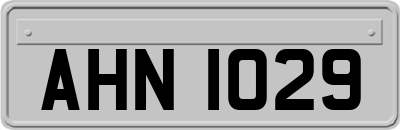 AHN1029