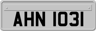AHN1031