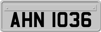 AHN1036