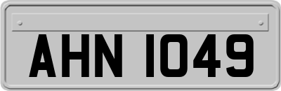 AHN1049
