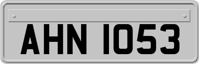 AHN1053