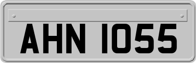 AHN1055
