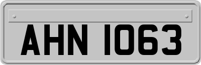 AHN1063
