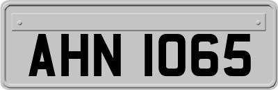 AHN1065