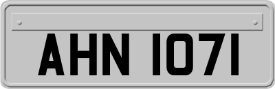 AHN1071