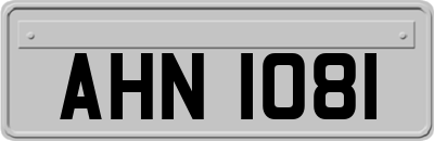 AHN1081