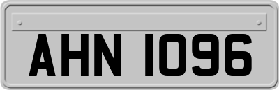 AHN1096