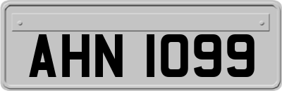 AHN1099
