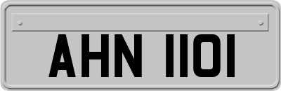 AHN1101