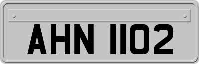 AHN1102