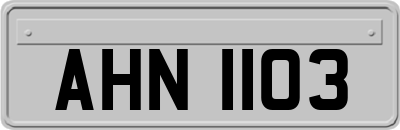 AHN1103