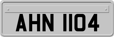 AHN1104