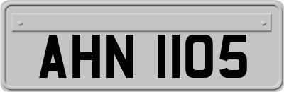 AHN1105