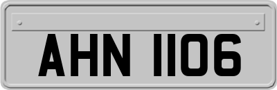 AHN1106