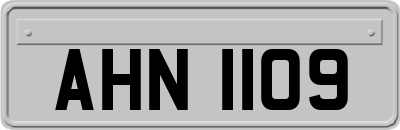 AHN1109