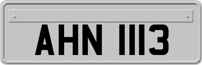AHN1113