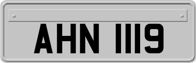 AHN1119