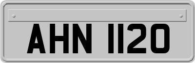 AHN1120
