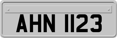 AHN1123