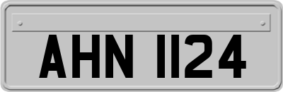 AHN1124