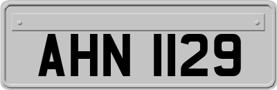 AHN1129