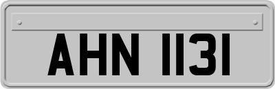 AHN1131