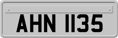 AHN1135