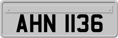 AHN1136