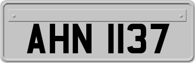 AHN1137