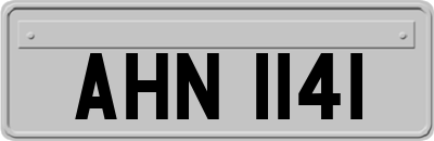 AHN1141