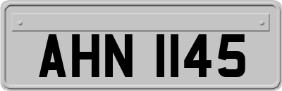 AHN1145