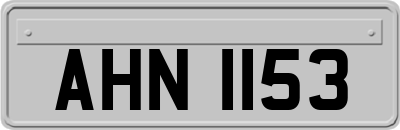 AHN1153