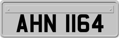 AHN1164