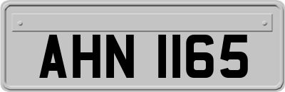 AHN1165