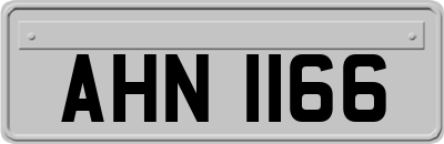 AHN1166