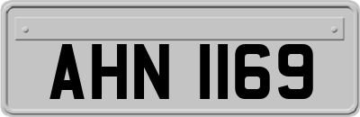 AHN1169