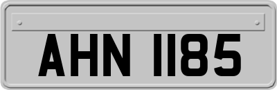 AHN1185