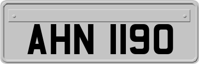 AHN1190