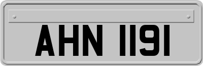 AHN1191