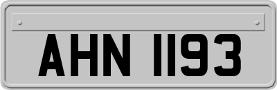 AHN1193
